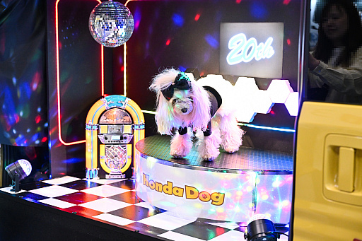 画像ギャラリー No.027のサムネイル画像 / スクエニの犬猫グッズ「SQEX PETs」も9月発売決定！　おもしろワンニャンアイテムたくさんの“インターペット2025”