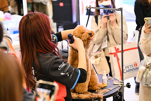 画像ギャラリー No.033のサムネイル画像 / スクエニの犬猫グッズ「SQEX PETs」も9月発売決定！　おもしろワンニャンアイテムたくさんの“インターペット2025”