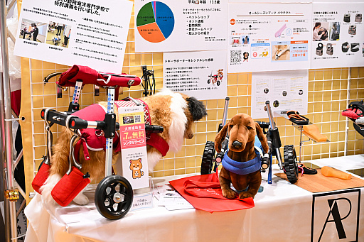 画像ギャラリー No.037のサムネイル画像 / スクエニの犬猫グッズ「SQEX PETs」も9月発売決定！　おもしろワンニャンアイテムたくさんの“インターペット2025”