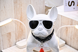 画像ギャラリー No.041のサムネイル画像 / スクエニの犬猫グッズ「SQEX PETs」も9月発売決定！　おもしろワンニャンアイテムたくさんの“インターペット2025”