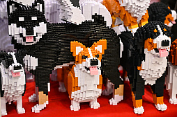 画像ギャラリー No.042のサムネイル画像 / スクエニの犬猫グッズ「SQEX PETs」も9月発売決定！　おもしろワンニャンアイテムたくさんの“インターペット2025”