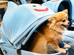 スクエニの犬猫グッズ「SQEX PETs」も9月発売決定！　おもしろワンニャンアイテムたくさんの“インターペット2025”