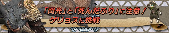 「閃光」と「死んだふり」に注意! ゲリョスに挑戦