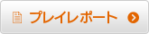 プレイレポート